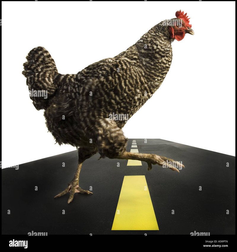 Image: Découvrez le Road à Poulet : Nouveau Jeu de Casino en Ligne